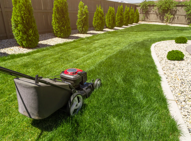 lawn care services